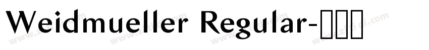 Weidmueller Regular字体转换